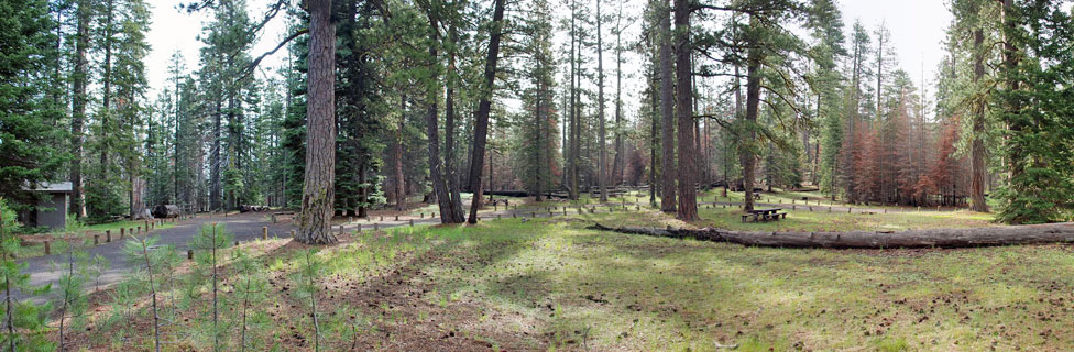 Whispring Pine Horse CAmp, Deschutes National Forest, Oregon